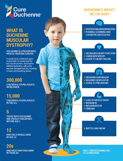 dmd中文|Duchenne Muscular Dystrophy (DMD) .